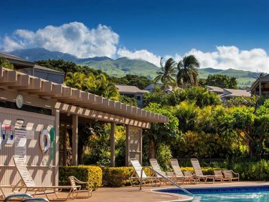 Wailea Condo 878529